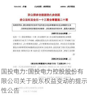 国投电力:国投电力控股股份有限公司关于股东权益变动的提示性公告