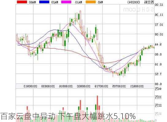 百家云盘中异动 下午盘大幅跳水5.10%