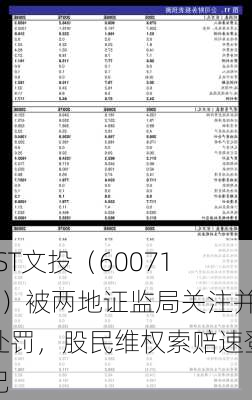 *ST文投（600715）被两地证监局关注并处罚，股民维权索赔速登记