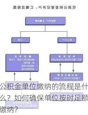 公积金单位缴纳的流程是什么？如何确保单位按时足额缴纳？