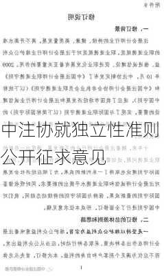 中注协就独立性准则公开征求意见