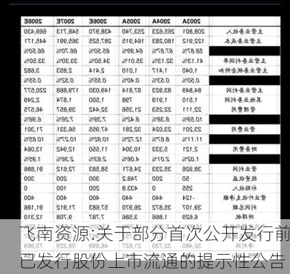 飞南资源:关于部分首次公开发行前已发行股份上市流通的提示性公告