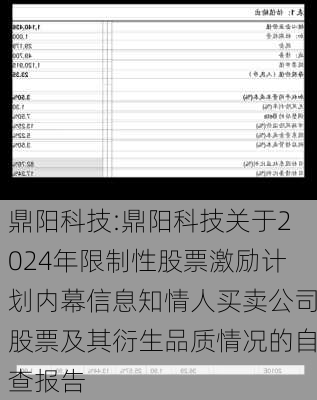 鼎阳科技:鼎阳科技关于2024年限制性股票激励计划内幕信息知情人买卖公司股票及其衍生品质情况的自查报告