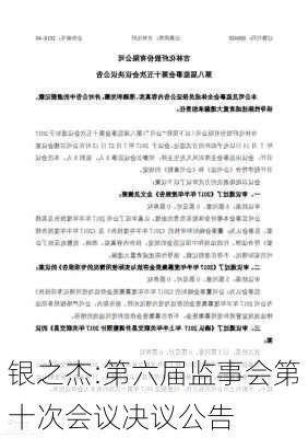 银之杰:第六届监事会第十次会议决议公告