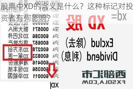 股票中XD的含义是什么？这种标记对投资者有何影响？