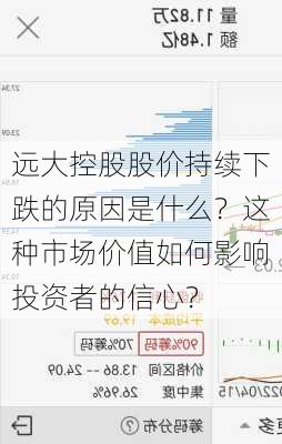 远大控股股价持续下跌的原因是什么？这种市场价值如何影响投资者的信心？