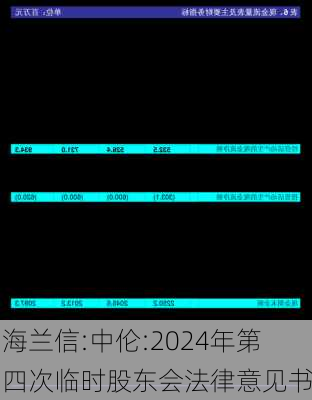 海兰信:中伦:2024年第四次临时股东会法律意见书