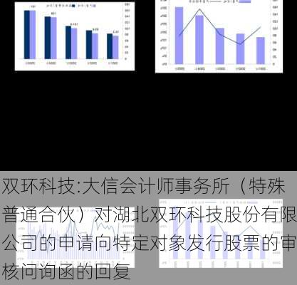 双环科技:大信会计师事务所（特殊普通合伙）对湖北双环科技股份有限公司的申请向特定对象发行股票的审核问询函的回复