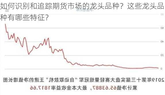 如何识别和追踪期货市场的龙头品种？这些龙头品种有哪些特征？