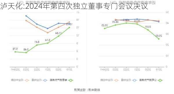 泸天化:2024年第四次独立董事专门会议决议