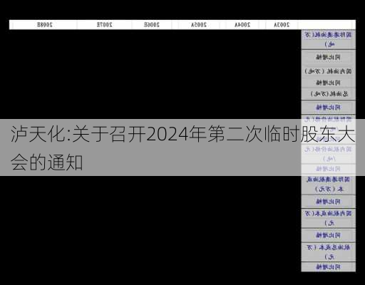 泸天化:关于召开2024年第二次临时股东大会的通知