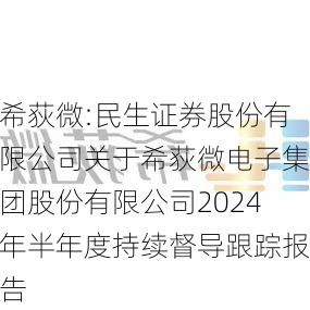 希荻微:民生证券股份有限公司关于希荻微电子集团股份有限公司2024年半年度持续督导跟踪报告