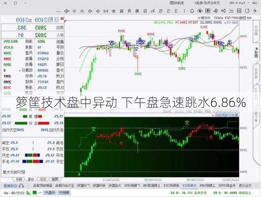 箩筐技术盘中异动 下午盘急速跳水6.86%