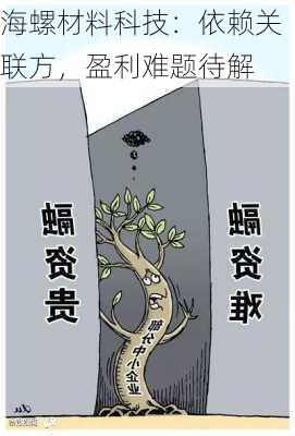 海螺材料科技：依赖关联方，盈利难题待解