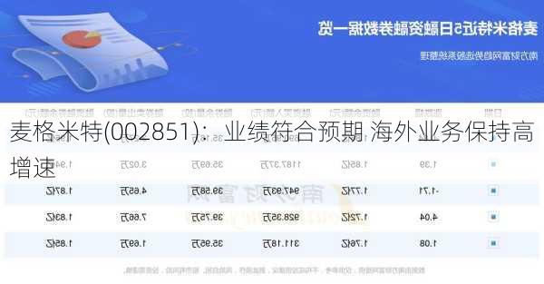 麦格米特(002851)：业绩符合预期 海外业务保持高增速