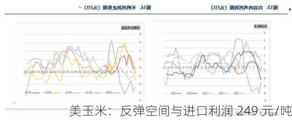 美玉米：反弹空间与进口利润 249 元/吨