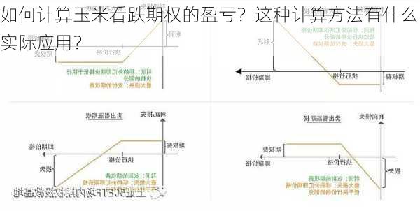 如何计算玉米看跌期权的盈亏？这种计算方法有什么实际应用？