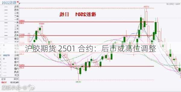 沪胶期货 2501 合约：后市或高位调整