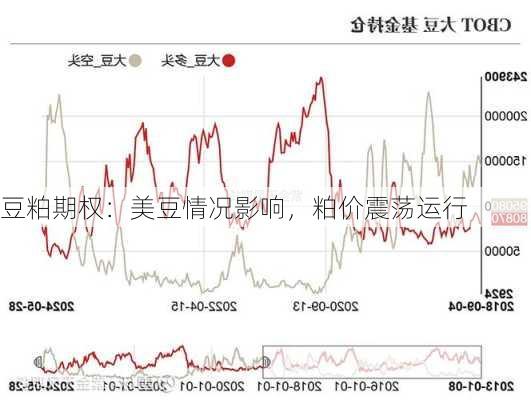 豆粕期权：美豆情况影响，粕价震荡运行