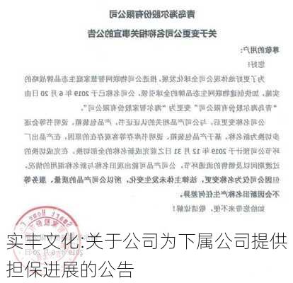 实丰文化:关于公司为下属公司提供担保进展的公告