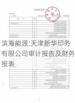 滨海能源:天津新华印务有限公司审计报告及财务报表