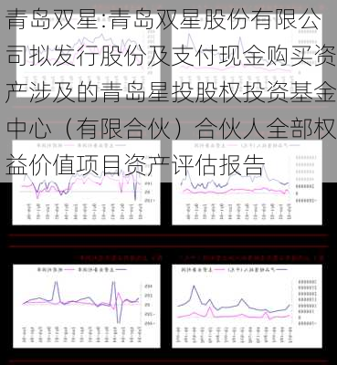 青岛双星:青岛双星股份有限公司拟发行股份及支付现金购买资产涉及的青岛星投股权投资基金中心（有限合伙）合伙人全部权益价值项目资产评估报告