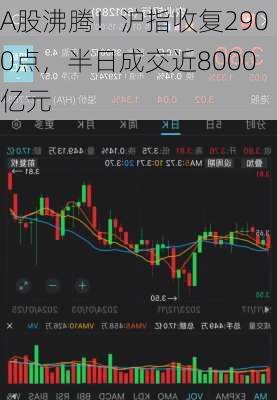 A股沸腾！沪指收复2900点，半日成交近8000亿元