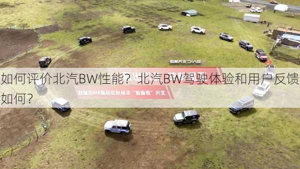 如何评价北汽BW性能？北汽BW驾驶体验和用户反馈如何？