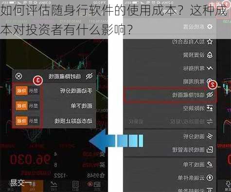 如何评估随身行软件的使用成本？这种成本对投资者有什么影响？