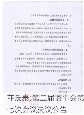 菲沃泰:第二届监事会第七次会议决议公告