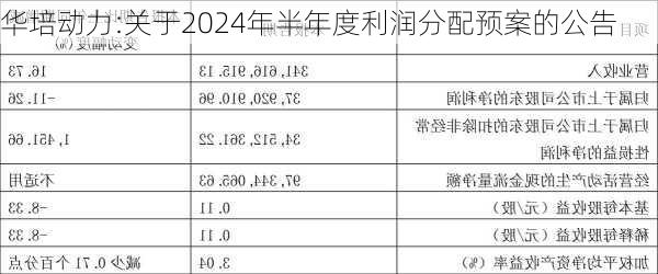 华培动力:关于2024年半年度利润分配预案的公告