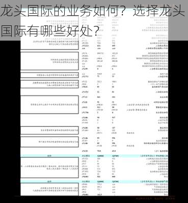 龙头国际的业务如何？选择龙头国际有哪些好处？