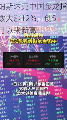 纳斯达克中国金龙指数大涨12%，创5月以来新高