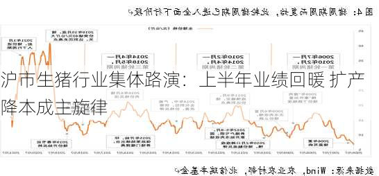 沪市生猪行业集体路演：上半年业绩回暖 扩产降本成主旋律