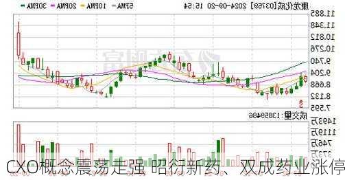 CXO概念震荡走强 昭衍新药、双成药业涨停