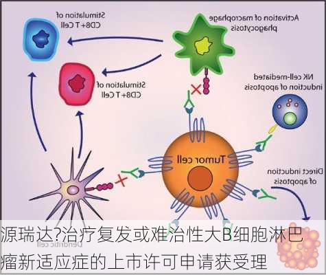 源瑞达?治疗复发或难治性大B细胞淋巴瘤新适应症的上市许可申请获受理