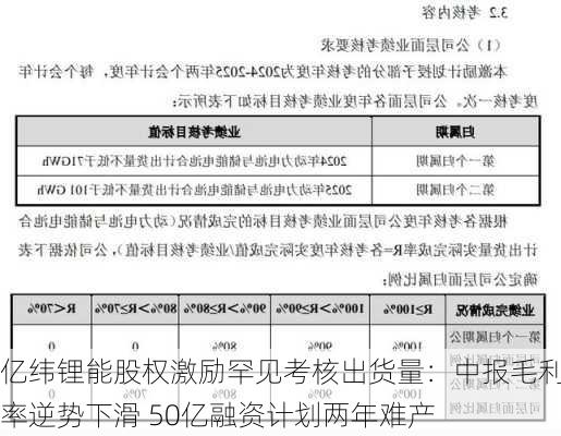 亿纬锂能股权激励罕见考核出货量：中报毛利率逆势下滑 50亿融资计划两年难产