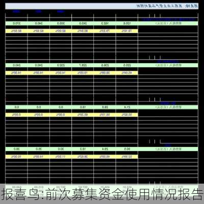 报喜鸟:前次募集资金使用情况报告