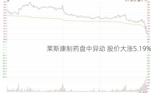 莱斯康制药盘中异动 股价大涨5.19%