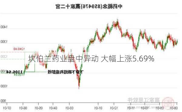 坎伯兰药业盘中异动 大幅上涨5.69%