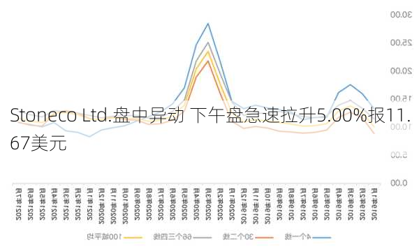 Stoneco Ltd.盘中异动 下午盘急速拉升5.00%报11.67美元