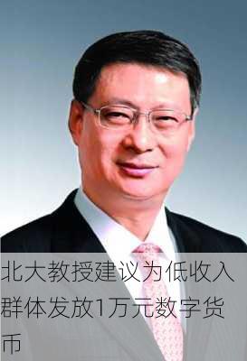 北大教授建议为低收入群体发放1万元数字货币