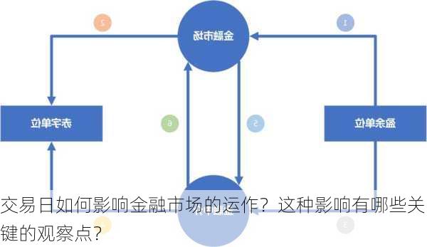 交易日如何影响金融市场的运作？这种影响有哪些关键的观察点？