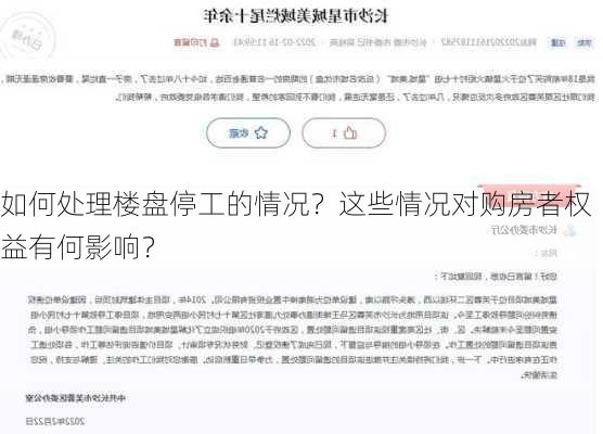 如何处理楼盘停工的情况？这些情况对购房者权益有何影响？