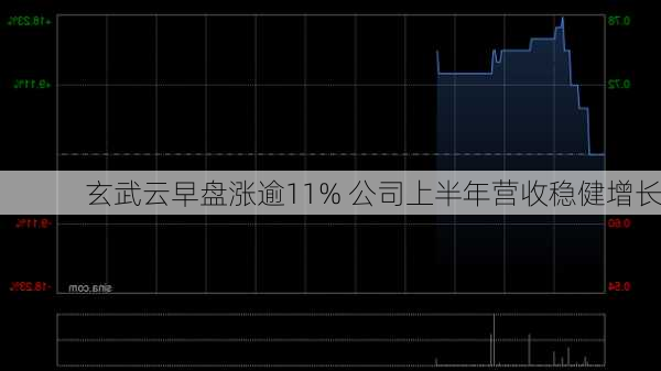 玄武云早盘涨逾11% 公司上半年营收稳健增长