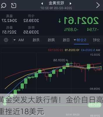 黄金突发大跌行情！金价自日高重挫近18美元