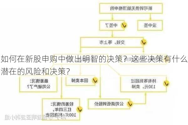 如何在新股申购中做出明智的决策？这些决策有什么潜在的风险和决策？