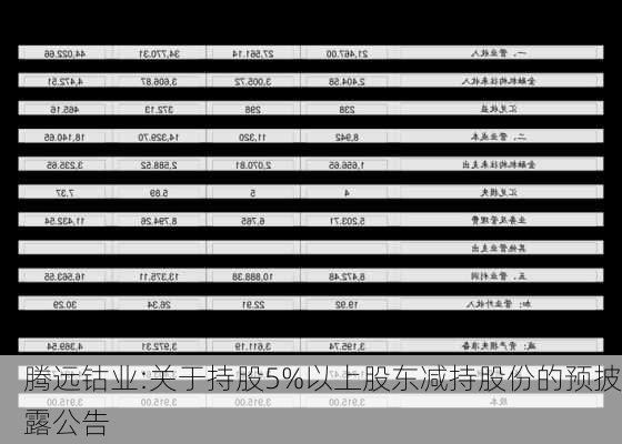 腾远钴业:关于持股5%以上股东减持股份的预披露公告