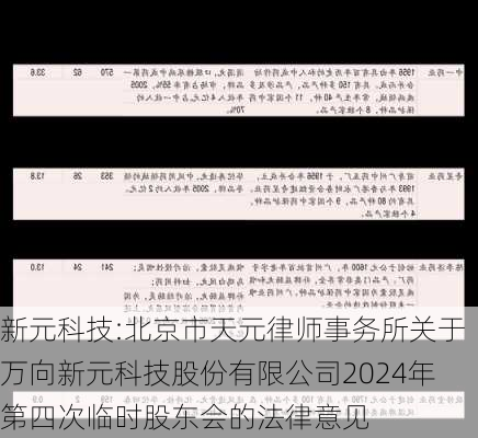 新元科技:北京市天元律师事务所关于万向新元科技股份有限公司2024年第四次临时股东会的法律意见