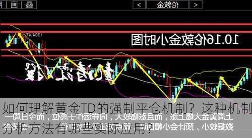 如何理解黄金TD的强制平仓机制？这种机制分析方法有哪些实际应用？